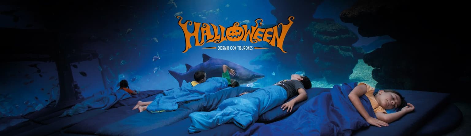 palma aquarium halloween