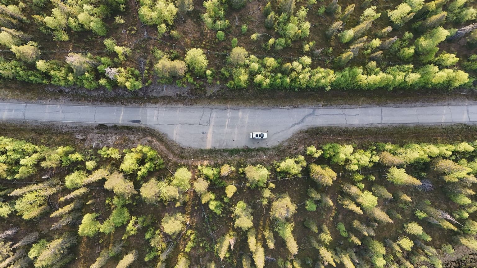 Aerial view of a lone car on a narrow road surrounded by dense, green forest on both sides.