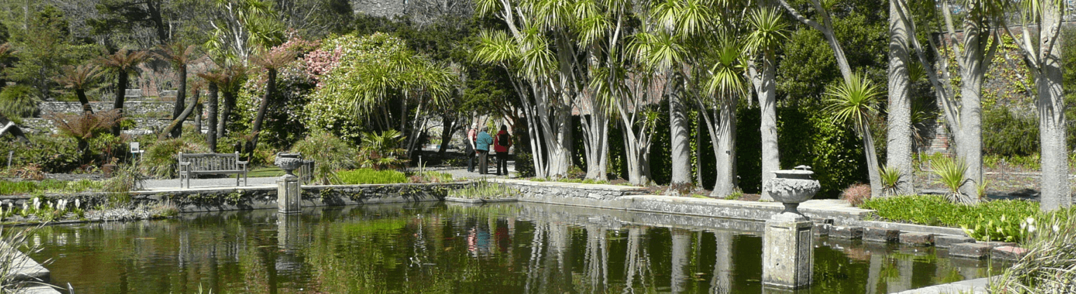 Photo of the Logan Botanic Gardens, taken by Humphrey Bolton - https://www.geograph.org.uk/profile/1712