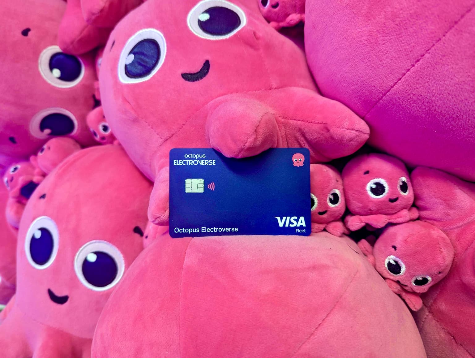 Image shows Visa payments card in a sea of constantine plushies