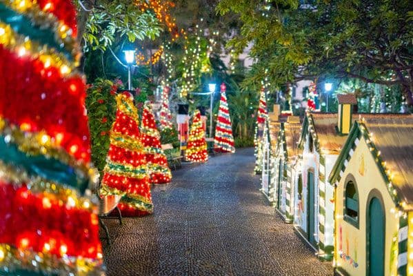 madeira christmas market