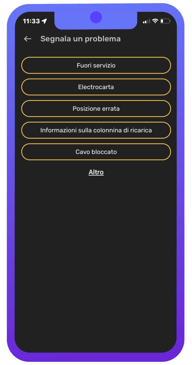 report an issue (IT) screenshot