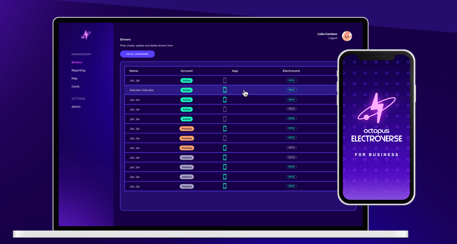 A screenshot of the Octopus Electroverse fleets application