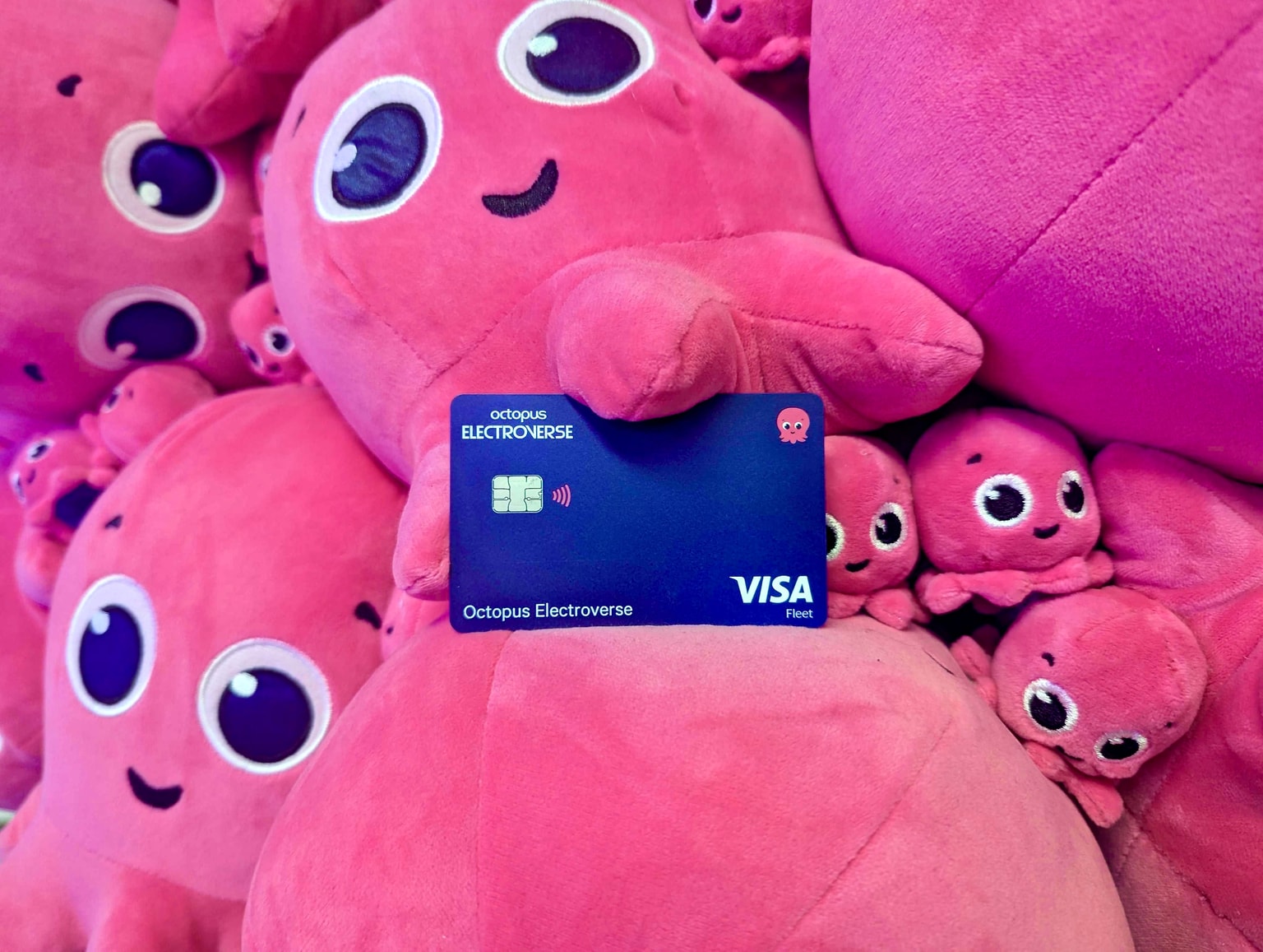 Image shows Visa payments card in a sea of constantine plushies