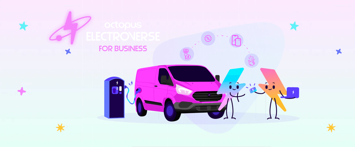 octopus electroverse for business